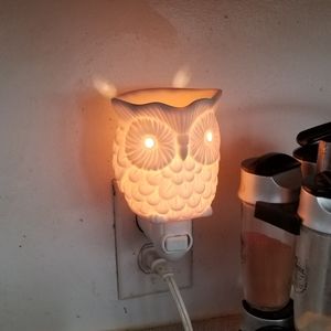 Hoot scentsy mini warmer